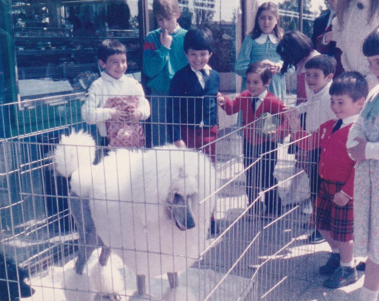 Recuerdos bonitos